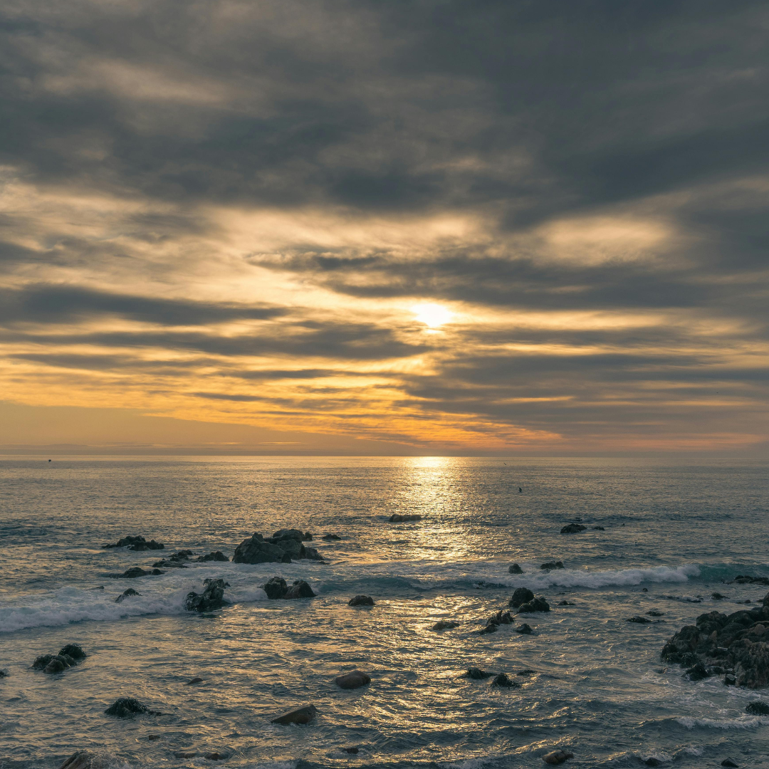 Vina del Mar